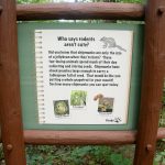 Great Woodland Adventure Trail Sign