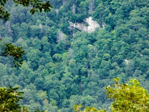 View of Rainbow Falls