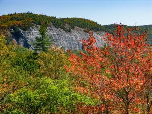 Big Green Mountain in Early Fall Color