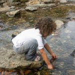 Playing in the Water on the Flat Laurel Creek Trail