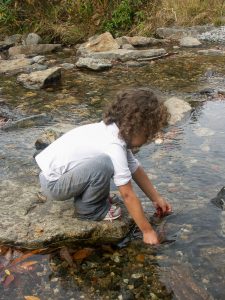 Playing in the Water on the Flat Laurel Creek Trail