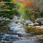 Sam Knob Trail Creek Crossing in Fall Color