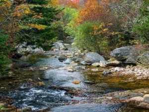 Sam Knob Trail Creek Crossing in Fall Color