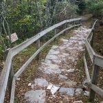 Devil's Courthouse Trail Steps