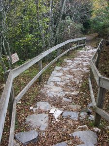 Devil's Courthouse Trail Steps