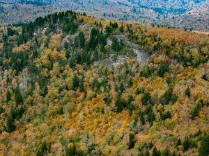 Fall View from Devil's Courthouse