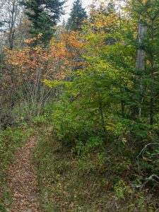 Devil's Courthouse Connector