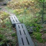 Footbridge on the Mountains to Sea Trail