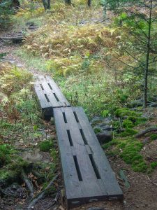 Footbridge on the Mountains to Sea Trail