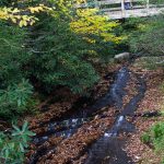 Bridge on the Tanawha Trail