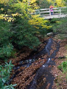 Bridge on the Tanawha Trail