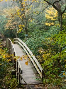 Blue Ridge Parkway: Grandfather Mountain Area