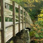 Little Wilson Creek Bridge