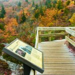 Sign on Rough Ridge