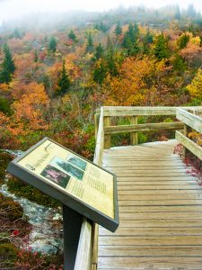 Sign on Rough Ridge