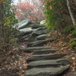Rock Steps on Rough Ridge