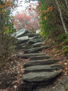 Rock Steps on Rough Ridge