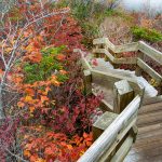 Staircase on Rough Ridge