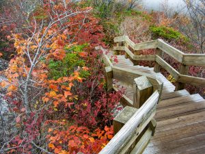 Staircase on Rough Ridge