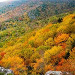 Fall Colors from Rough Ridge