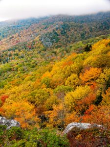 Fall Colors from Rough Ridge