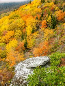 Fall Colors from Rough Ridge