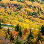 Fall Colors from Rough Ridge