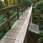 Tanawha Trail Bridge