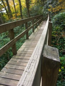 Tanawha Trail Bridge