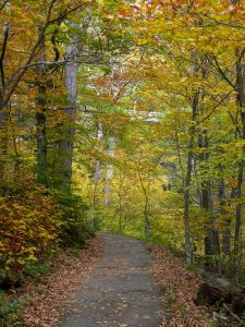 Linn Cove Viaduct Path Fall Color