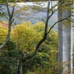 View Under the Linn Cove Viaduct