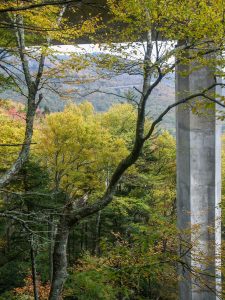 View Under the Linn Cove Viaduct