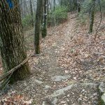 Barnett Branch Trail Top