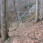 Waterfall from Barnett Branch Trail