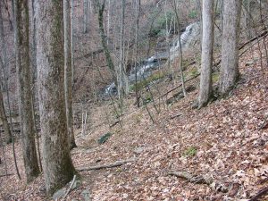 Waterfall from Barnett Branch Trail