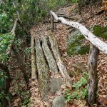 Bridge on the Barnett Branch Trail