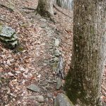 Steep Section of Barnett Branch Trail