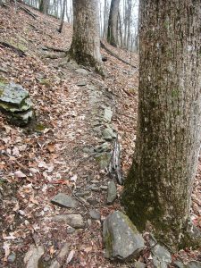 Steep Section of Barnett Branch Trail