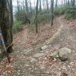 Barnett Branch and Buck Spring Trails