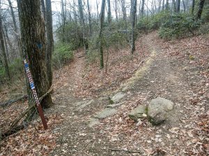 Barnett Branch and Buck Spring Trails