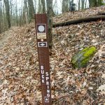 Buck Spring Trail Sign