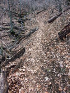 Buck Spring Maintained Trail