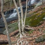 Waterfall beside Barnett Branch Trail