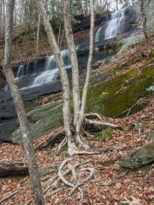 Waterfall beside Barnett Branch Trail