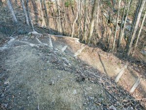 Switchback on the Florence Preserve Trail