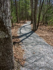 High Falls Trail