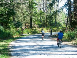 Kids Mountain Biking in DuPont