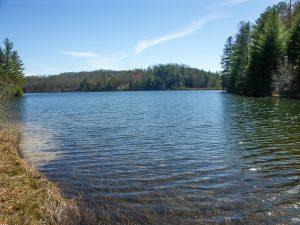 Lake Julia Near the Spillway