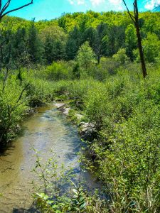 Grogan Creek near Picklesimer Fields