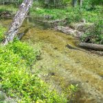 Grogan Creek Sandbar